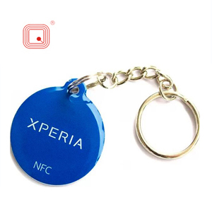 NFC Chip Epoxy Key Tag